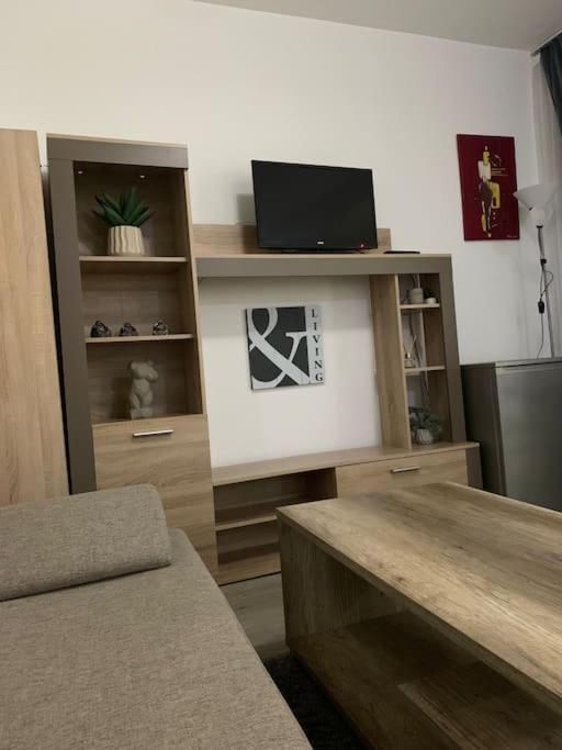 Studio Central Mm Apartments Brasov Exterior photo